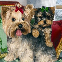 Алмазная мозаика "Йорки" Алмазная мозаика "Йорки"