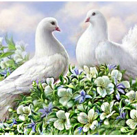 Алмазная мозаика "Голуби" Алмазная мозаика "Голуби"