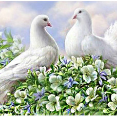 Алмазная мозаика "Голуби"