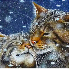 Алмазная мозаика "Коты нежность"