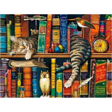Алмазная мозаика " Кот в книгах